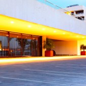 Ipsum dolor sit amet, consec tetuerog. Praesent ves.