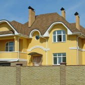 Dolor sit amet, consec tetuerog. Praesent molestie.