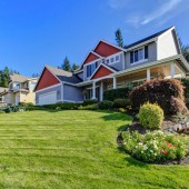 Etiam commodo convallis