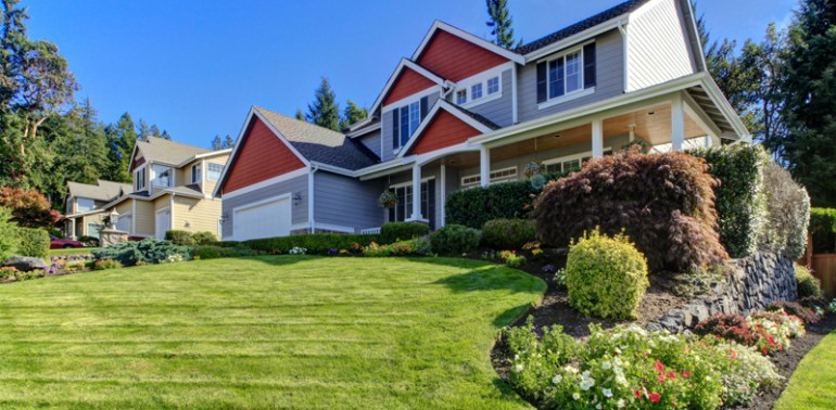 Etiam commodo convallis